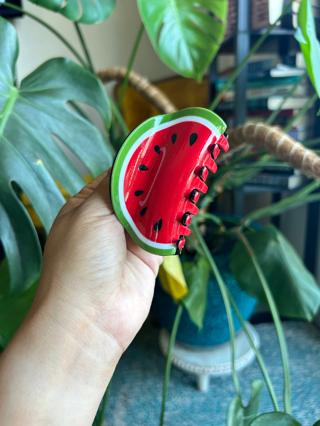 Watermelon clip